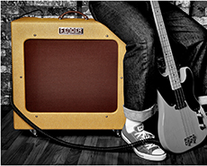 Bassman TV Fifteen & 51 P Bass