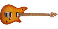 EVH5107701596	